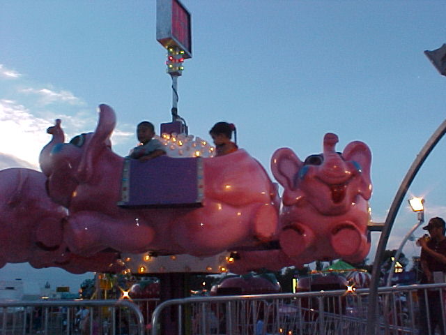 Elephant